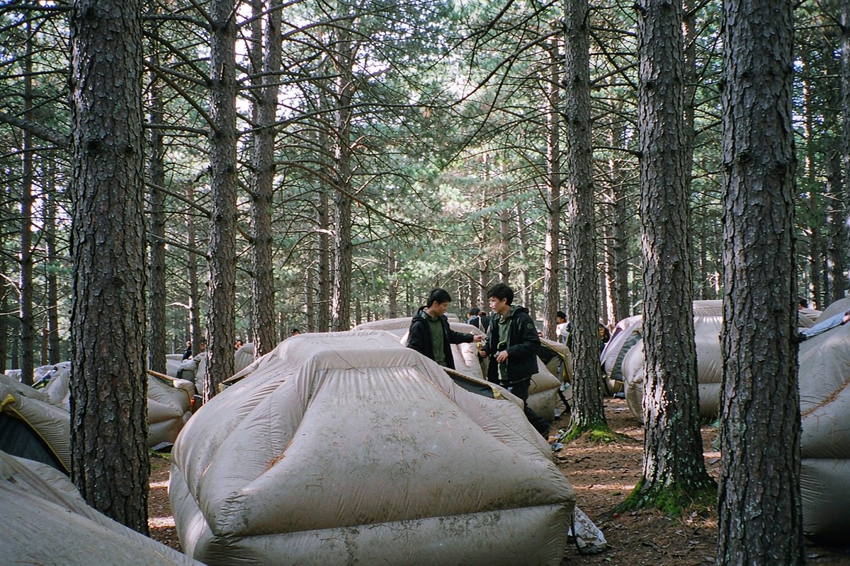 Forest Camp Tent Supply